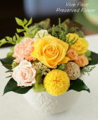 ���i�C���[�W