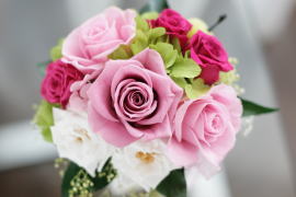 ���i�C���[�W2