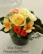 ���i�C���[�W