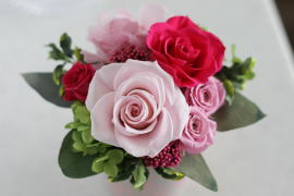 ���i�C���[�W2