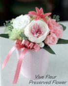 ���i�C���[�W