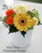 ���i�C���[�W