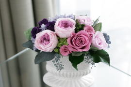 ���i�C���[�W2