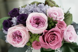 ���i�C���[�W2