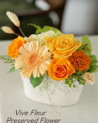 ���i�C���[�W