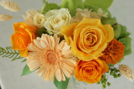 ���i�C���[�W2