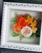 ���i�C���[�W