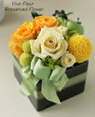 ���i�C���[�W