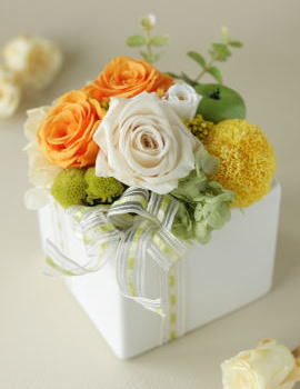 ���i�C���[�W2